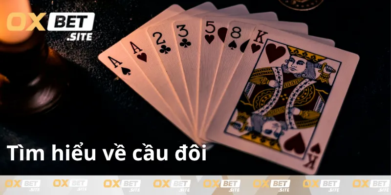 cau-doi